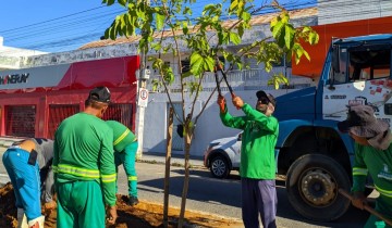 SEMADS realiza a��es de manuten��o e arboriza��o em canteiros centrais de Patos