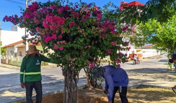 SEMADS realiza plantio de esp�cies nativas e frut�feras e refor�a a��es de arboriza��o urbana em Patos
