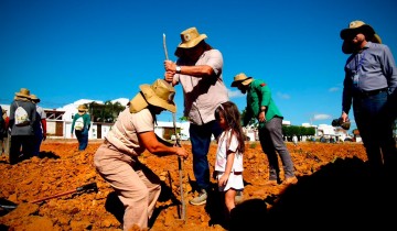Prefeitura de Patos implanta primeiro bosque em parceria com a UFCG e entrega ve�culo a SEMADS