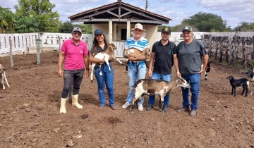 PROMAP leva assist�ncia veterin�ria a produtores da zona rural de Patos