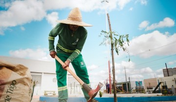 Pra�a Cora��o do Jatob� recebe a��o de arboriza��o e revitaliza��o em Patos
