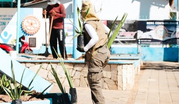 Prefeitura de Patos amplia arboriza��o de pra�as p�blicas