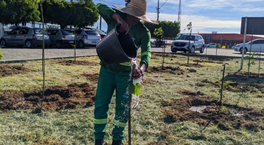 SEMADS realiza plantio de mudas nativas e frut�feras em canteiro da Avenida Pedro Firmino