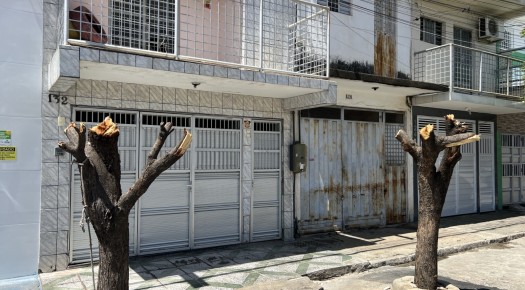 SEMADS intensifica fiscaliza��o contra poda dr�stica de �rvores em Patos