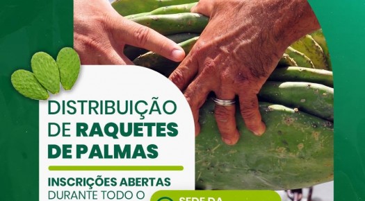 Prefeitura de Patos abre inscri��es para distribui��o de raquetes de palma em parceria com a Apacco