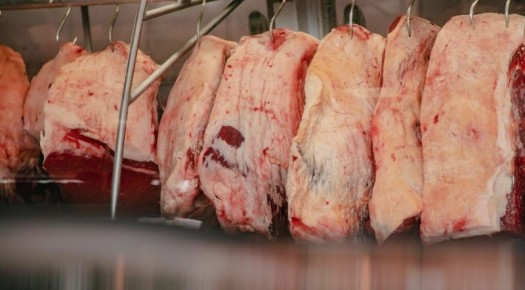 Procon/Patos divulga nova pesquisa de pre�os em frigor�ficos e granjas do munic�pio