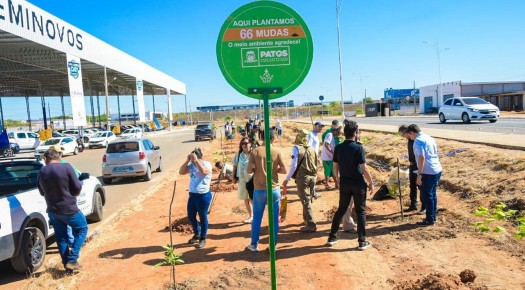 Em comemora��o ao Dia da �rvore, Patos ganha mini bosque na Al�a Sudeste