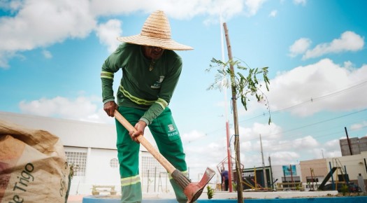 Pra�a Cora��o do Jatob� recebe a��o de arboriza��o e revitaliza��o em Patos